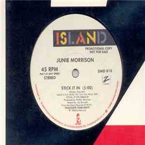 Junie Morrison - Stick It In