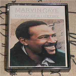Marvin Gaye - Dream Of A Lifetime