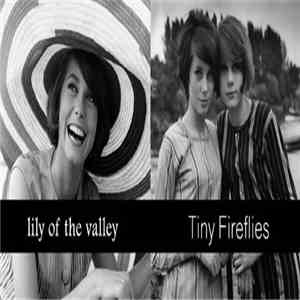 Tiny Fireflies / Lily Of The Valley  - Split