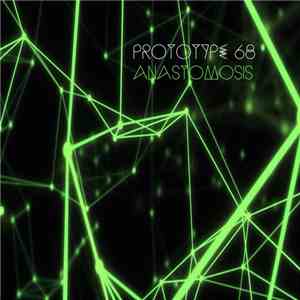 Prototype 68 - Anastomosis