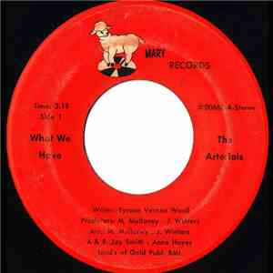 The Arterials - What We Have