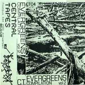 Various - Evergreens Compilation Vol. 2