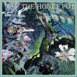The Honey Pot - Ascending Scales