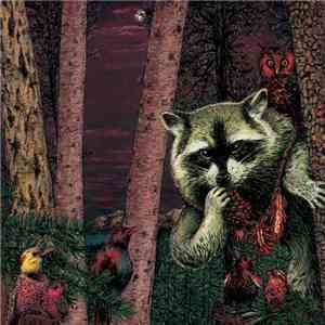 Wild Raccoon - Half Pine Cone