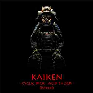 Pzylo - Kaiken