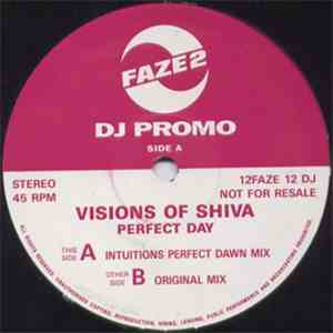 The Visions Of Shiva - Perfect Day