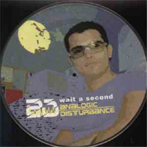 Analogic Disturbance - Wait A Second
