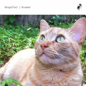 Bengalfuel - Braemar