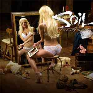 SOiL  - Picture Perfect