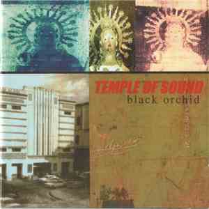 Temple Of Sound - Black Orchid