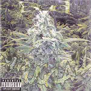 The Strugglazz - The Strugglazz
