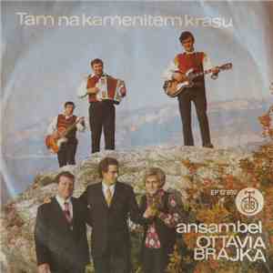 Ansambel Ottavija Brajka - Tam Na Kamenitem Krasu