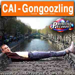CAI  - Gongoozling