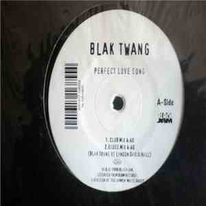 Blak Twang - Perfect Love Song