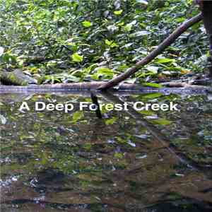 David Michael - A Deep Forest Creek