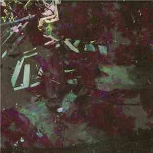 Ourson - Light From A Closing Door