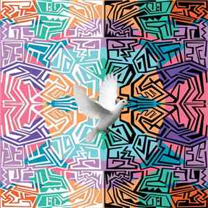 Dakoda Rollins - Civil White's Movement