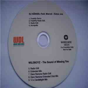 DJ Hångel Feat. Marcel  / Wildboyz - Dolce Joe / The Sound Of Missing You