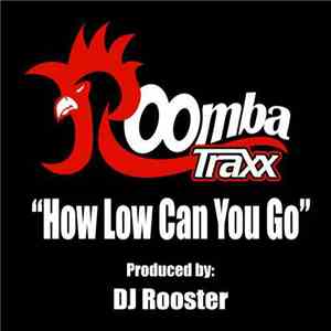 DJ Rooster - How Low Can You Go