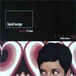 DJ Zappi - Chilled Senses