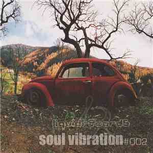 Various - Soul Vibration#002