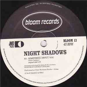Night Shadows - Something About You