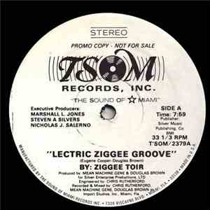 Ziggee Toir - 'Lectric Ziggee Groove