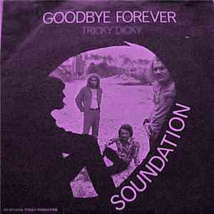 Soundation - Goodbye Forever