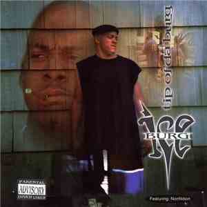 Ice Burg - Tip Of Da Burg