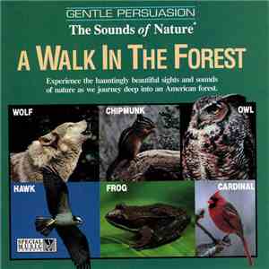 No Artist - A Walk In The Forest