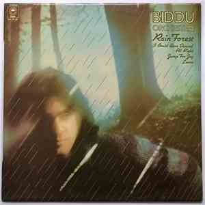 Biddu Orchestra - Rain Forest
