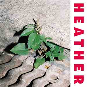 Heather  - Inside