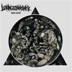 Looking For An Answer - Dios Carne
