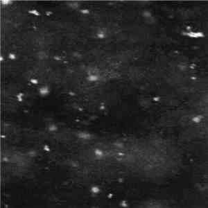 Paysage D'Hiver - Einsamkeit