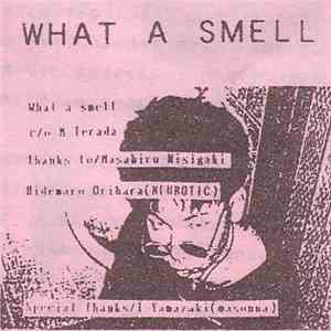 What A Smell - What A Smell