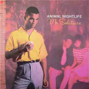 Animal Nightlife - Mr Solitaire