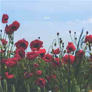 oliviaway - Alive