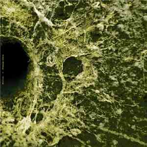 Mentat  - Amarillo Abisal
