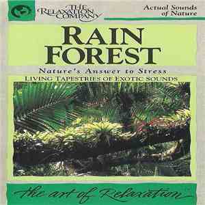 No Artist - Rain Forest