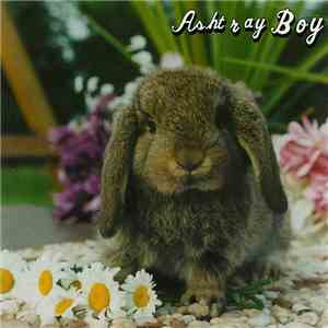 Ashtray Boy - There's Your Heart