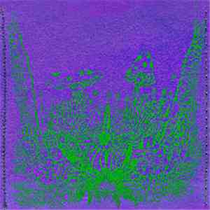 Feathers - Gnomeozoic Live