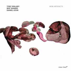 Tony Malaby, Mat Maneri, Daniel Levin  - New Artifacts