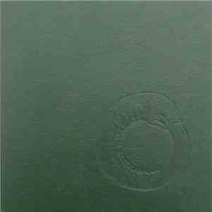 Turbonegro - Scandinavian Leather