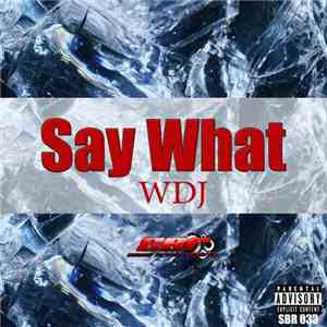 WDJ - Say What