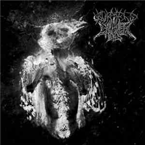 Burmese / Cadaver Eyes - Split