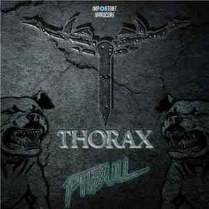 Thorax  - Pitbull