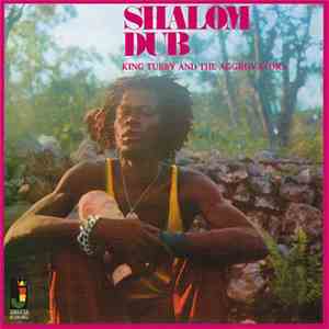 King Tubby And The Aggrovators - Shalom Dub