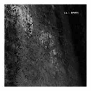 V.A. - BPM75