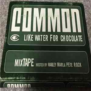 Common - Like Water For Chocolate Mixtape