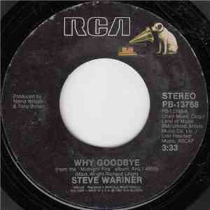 Steve Wariner - Why Goodbye